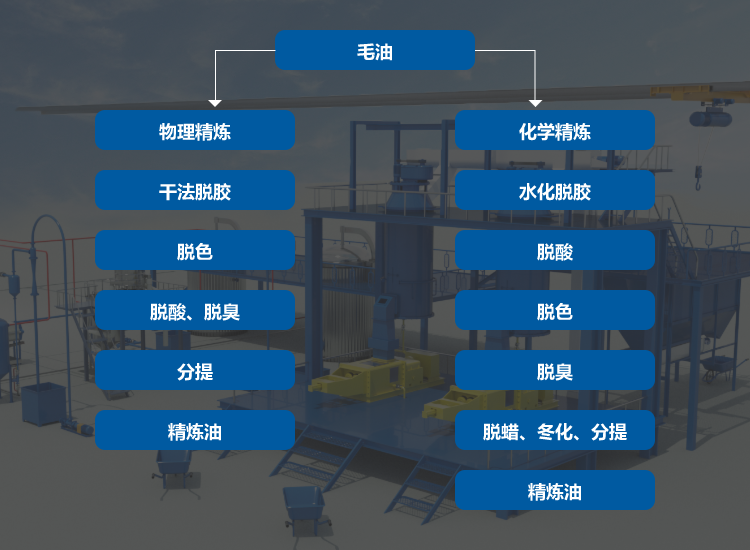 油脂精炼